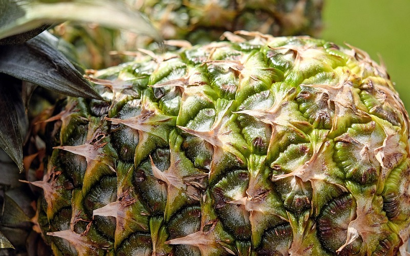 BENEFICI DELL'ANANAS