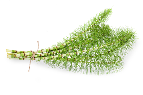 Rimedi naturali per la cellulite