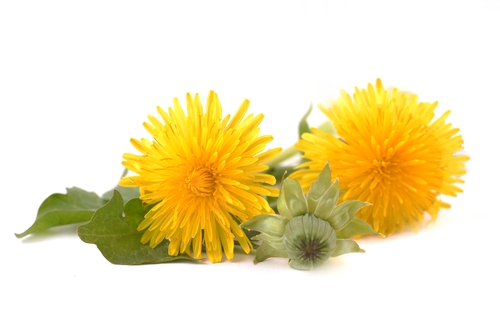 Rimedio naturale cellulite