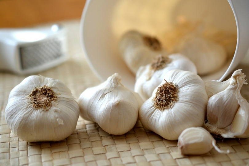antibiotici naturali