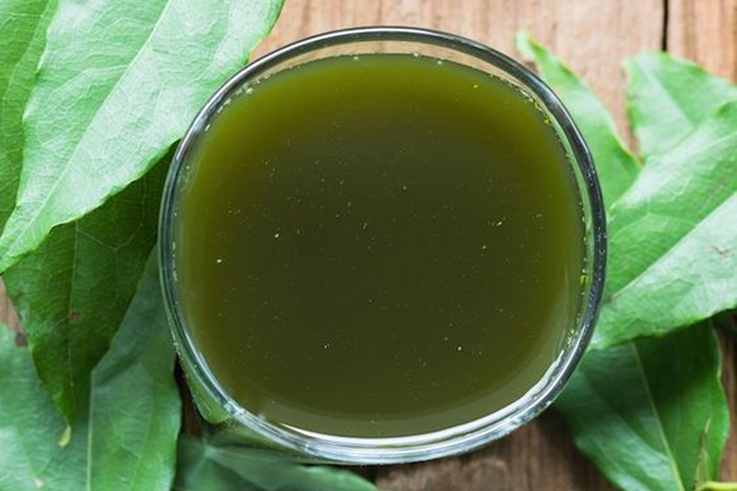 brodo di clorofilla