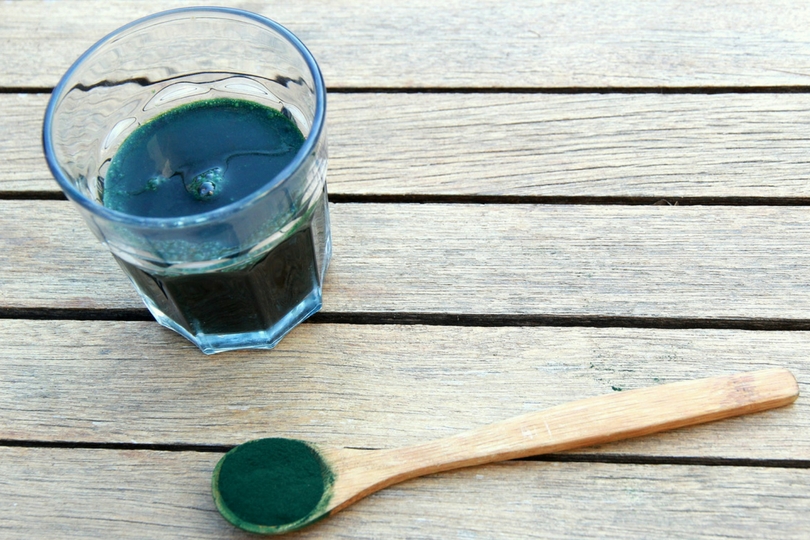 alga spirulina