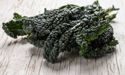 Cavolo nero