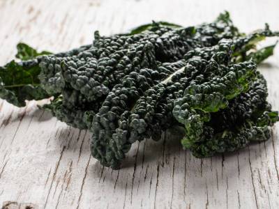 Cavolo nero: le ricette più buone da provare in inverno