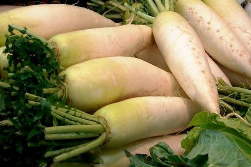 daikon