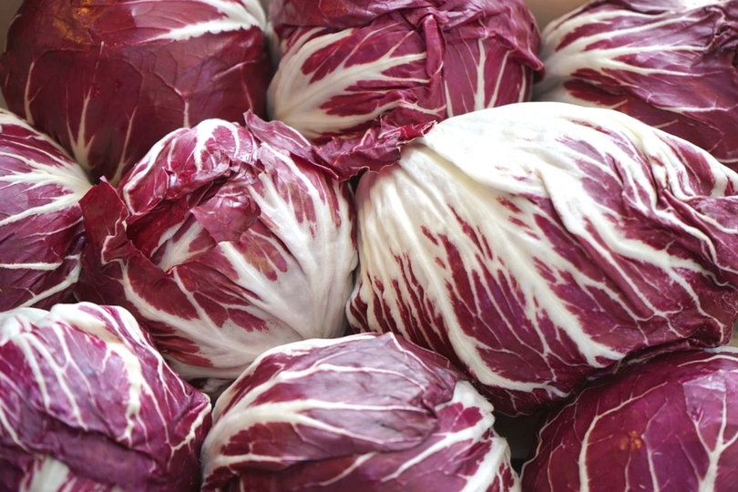 radicchio rosso