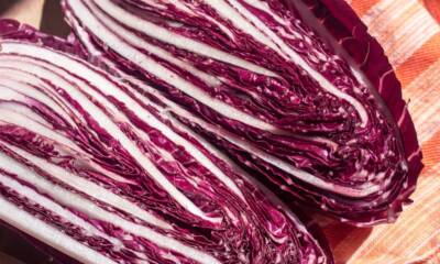 Radicchio rosso