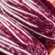 Radicchio rosso