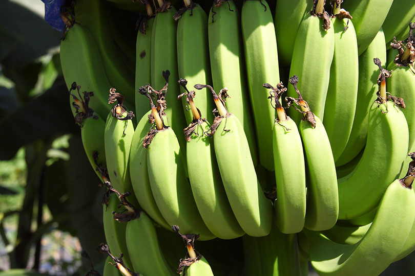 Banana rimedio naturale per emorroidi