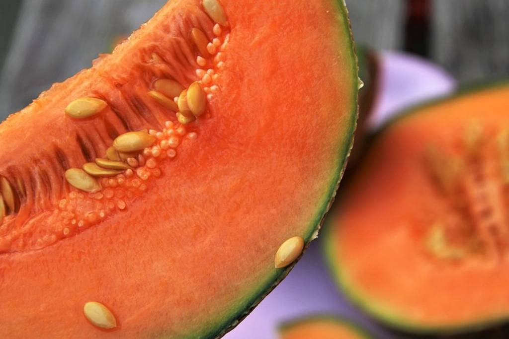 Melone