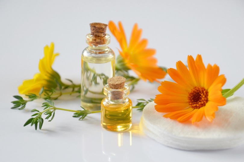 calendula