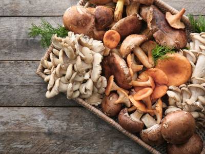 Proprietà e benefici dei funghi: ecco perché dovremmo mangiarli