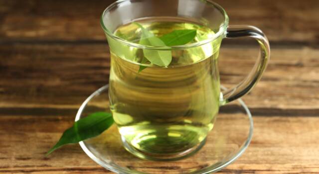 Tè verde come elisir di lunga vita: scopriamo tutti i suoi benefici