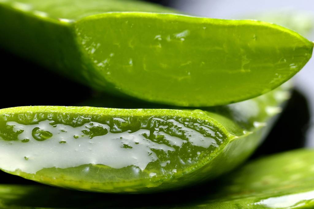 Aloe