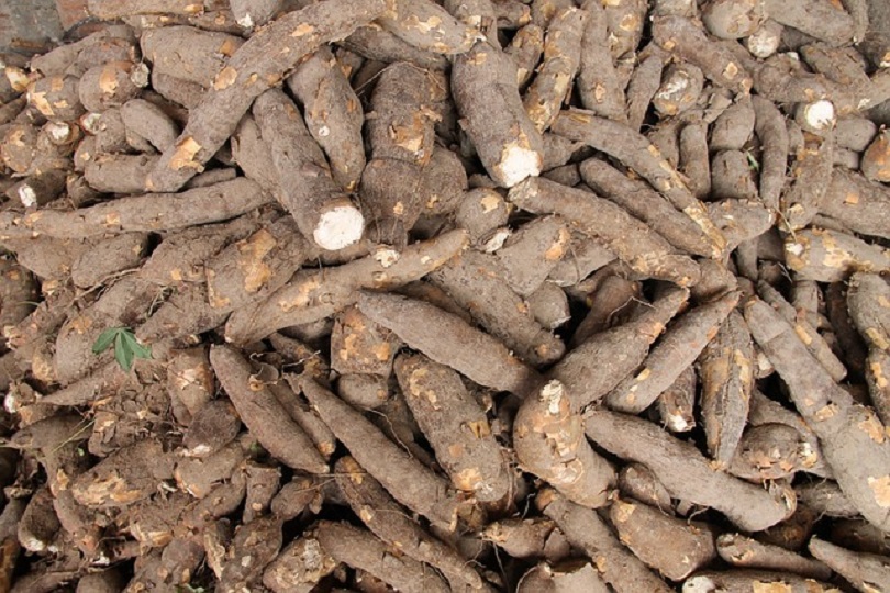 manioca farina