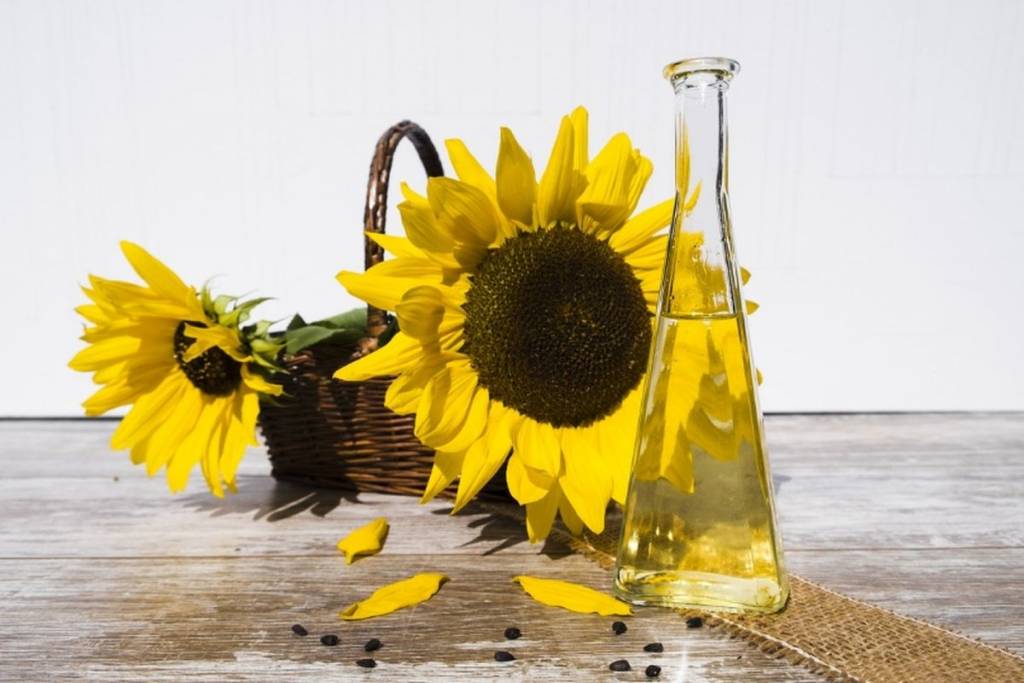 olio di girasole