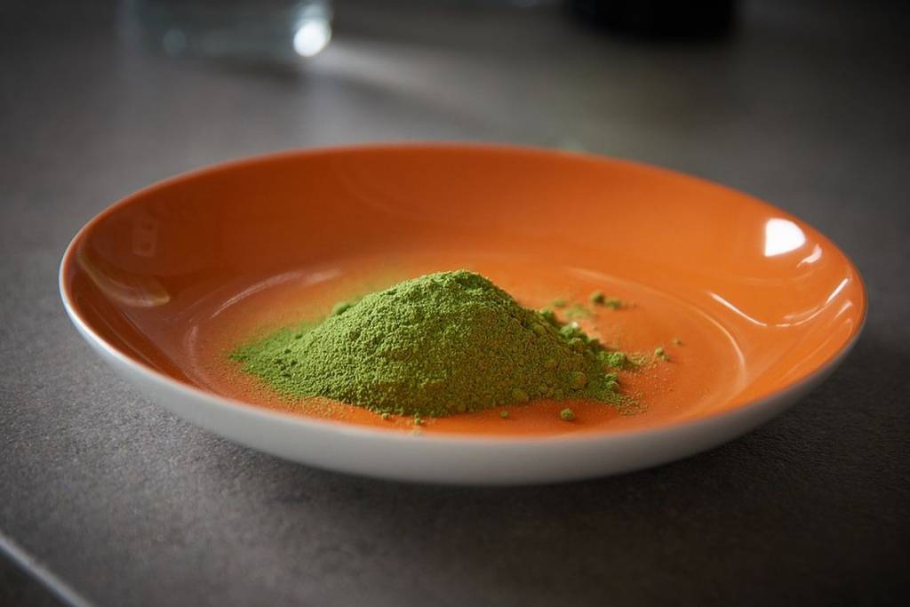 moringa oleifera