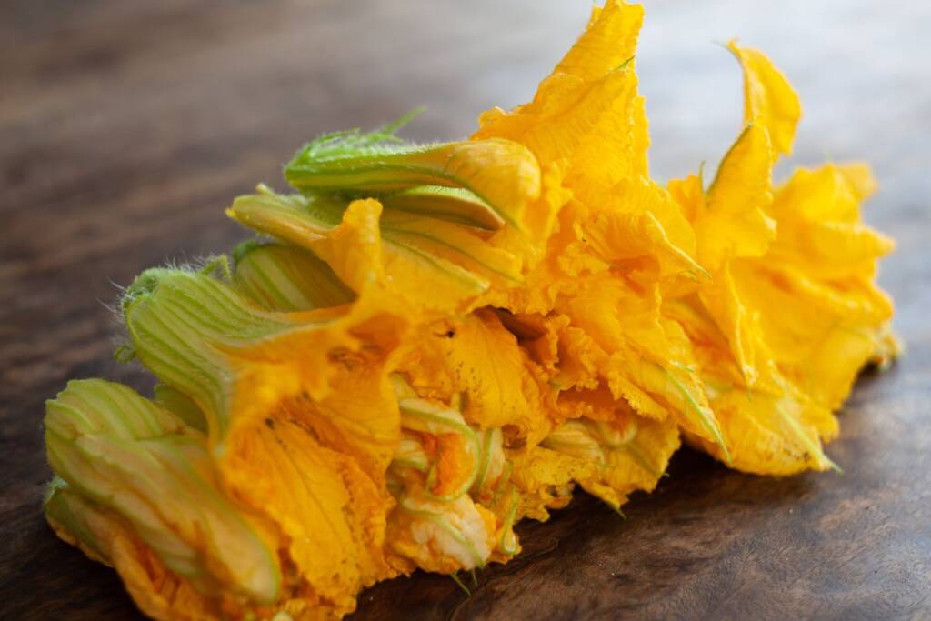 courgette flowers