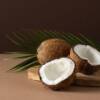 La noce di cocco è ricca di proprietà. Ecco perché fa bene!