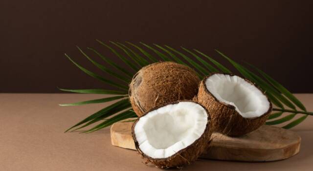 La noce di cocco è ricca di proprietà. Ecco perché fa bene!