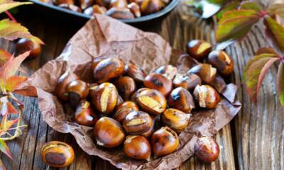 Castagne