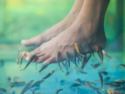 Fish pedicure, scopriamo rischi e benefici della terapia con i Garra Rufa