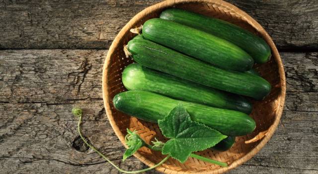 Dieta dei cetrioli: come mantenersi sani e controllare la glicemia