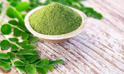 moringa