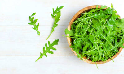 rucola