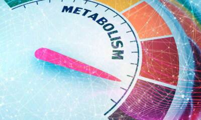 metabolismo