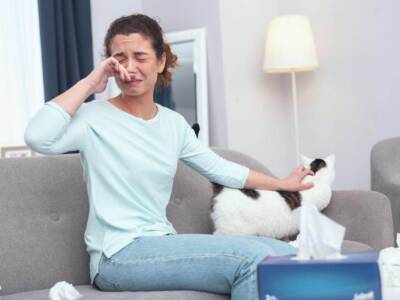 Allergia al gatto: sintomi e rimedi per contrastarla