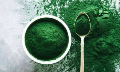 spirulina