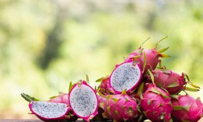 Dragon fruit