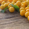 Gocce d’oro, il frutto estivo ricco di proprietà benefiche