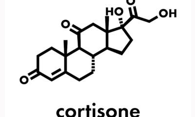 cortisone