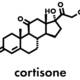 cortisone