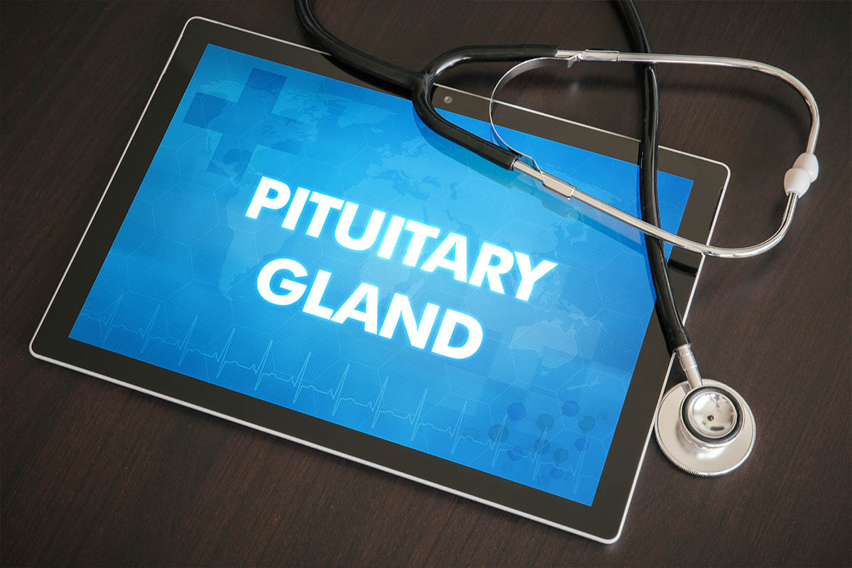 pituitary gland