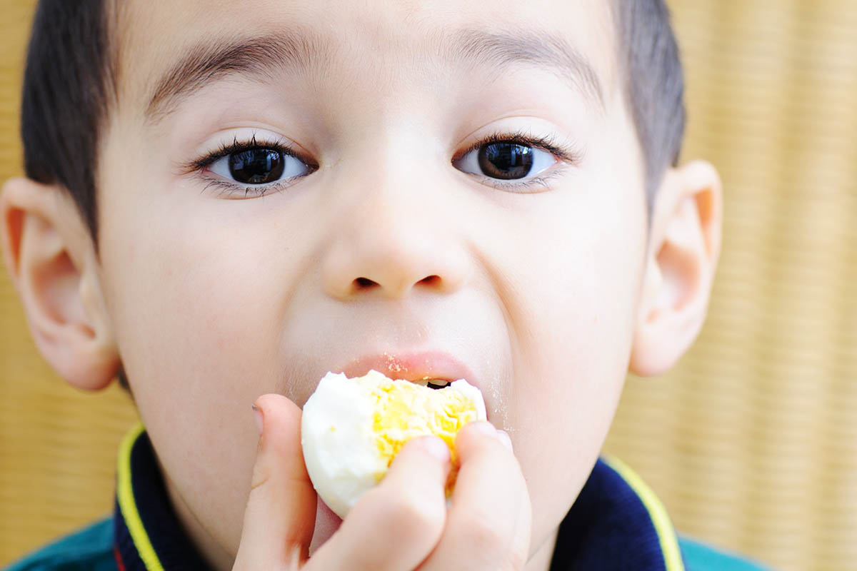 child eats boiled egg