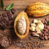 Burro di cacao, il prodotto dalle mille proprietà e colesterolo free