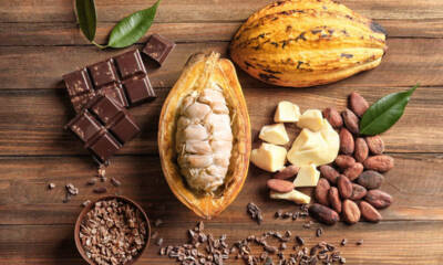 fava baccello cacao cioccolato