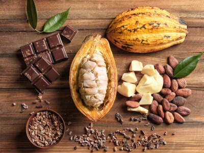 Burro di cacao, il prodotto dalle mille proprietà e colesterolo free