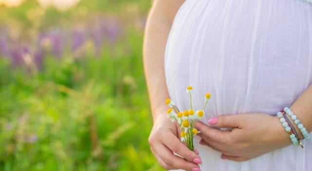 Camomilla in gravidanza: perché i medici ne sconsigliano l&#8217;assunzione?