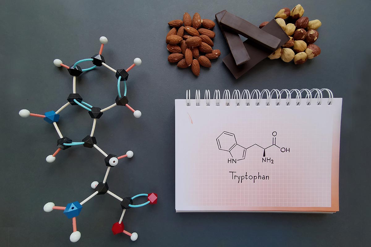 Molecular structure model chemical formula tryptophan molecule