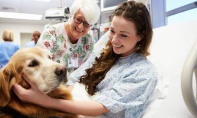 cane ospedale pet therapy