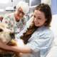 cane ospedale pet therapy