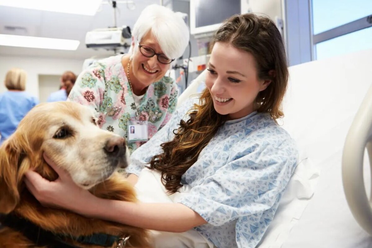 dog hospital pet therapy