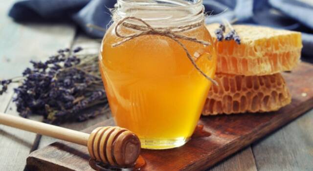 Miele o zucchero: quale è meglio utilizzare?
