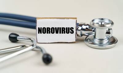 norovirus