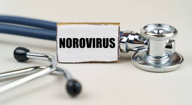 Influenza intestinale da Norovirus: sintomi e cure