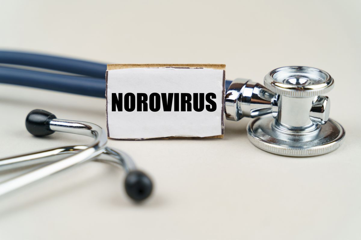 norovirus